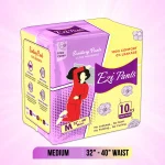 Ezi-Pants Absorbent Protection 10PCS - Image 2