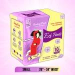 Ezi-Pants Absorbent Protection 10PCS